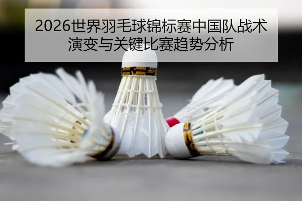 shi-jie-yu-mao-qiu-jin-biao-sai-zhong-guo-dui-zhan-shu-yan-bian-yu-guan-jian-bi-sai-qu-shi-fen-xi-2-440.jpg